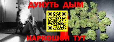 сатива Краснодар