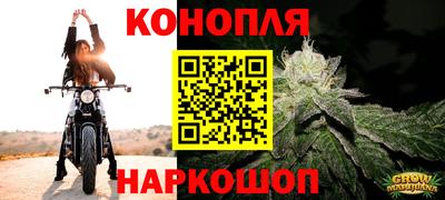стаф Краснокаменск