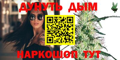 сатива Краснодар