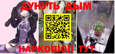 стаф Краснокаменск