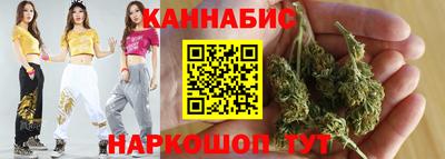 сатива Краснодар