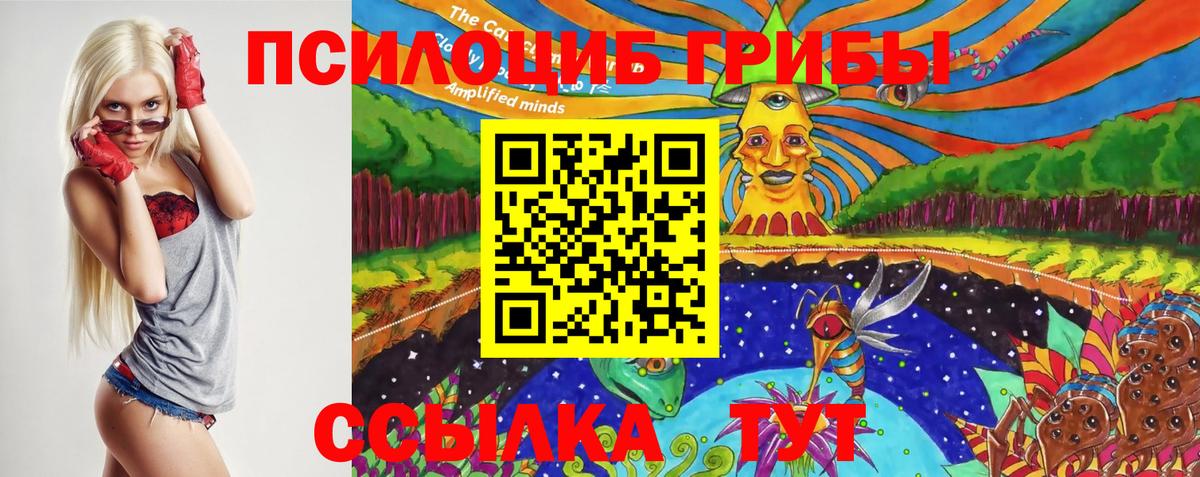 Псилоцибиновые грибы ЛСД  Псилоцибиновые грибы GOLDEN TEACHER  Истра  Вход с VPN 
